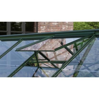 Vitavia tagvindue, grøn