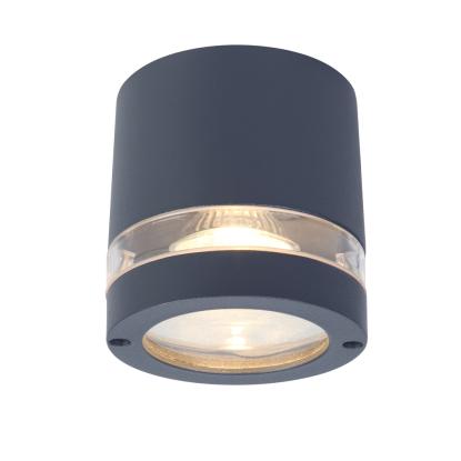 LUTEC FOCUS rund udendørs loftlampe, 1 lyskilde, H10,2 cm, GU10, IP44, mørk grå