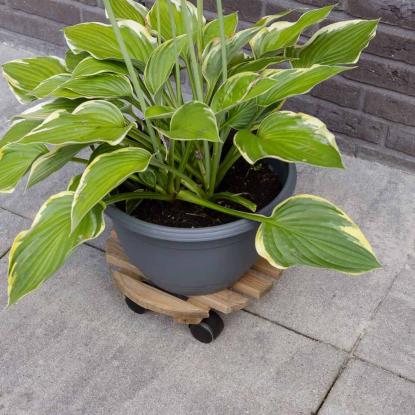 Esschert Design rund plantevogn, træ, Ø28,7 cm