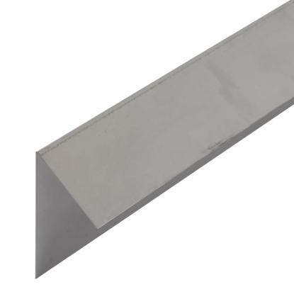 Sneglehegn 100
