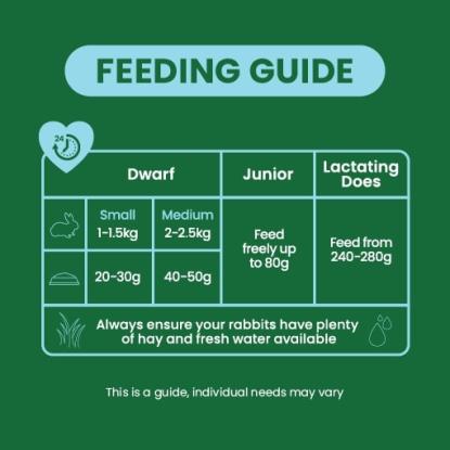 Burgess Excel kaninfoder til unge & dværgkaniner - 10 kg