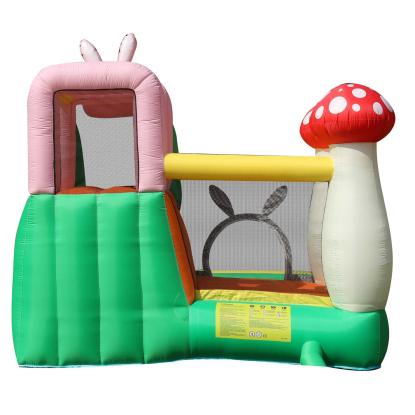 Doctor Dolphin Rabbit hoppeborg