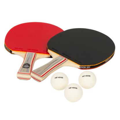 Bordtennissæt med 2 bat og 3 bolde