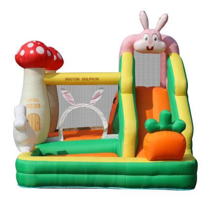 Doctor Dolphin Rabbit hoppeborg