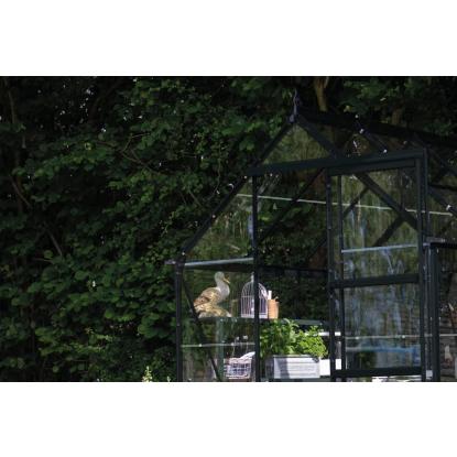 Halls Icon 6 drivhus 4,9 m², sort, 3 mm glas