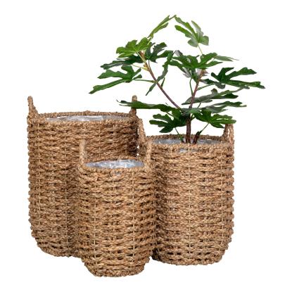 Planteskjuler, søgræs, rund, natur, sæt af 3