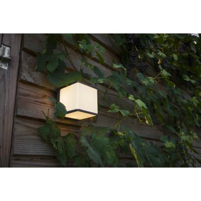 LUTEC DOBLO udendørs LED væglampe, 15 x 15 cm, 4000K, IP54, mørk grå