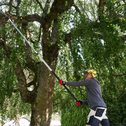 FELCO 684 teleskopsav, kan forlænges op til 640 cm