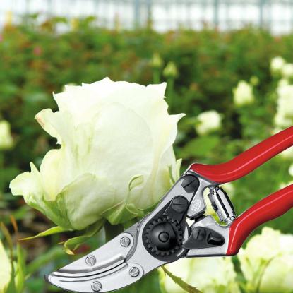 FELCO 100 rosen- og blomstersaks, højrehåndet - L