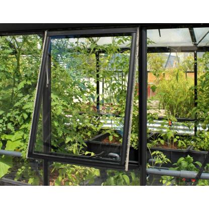 Vitavia sidevindue til Helena drivhus, sort, ekskl. glas