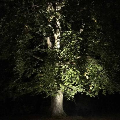 LightsOn Castor nedgravningsspot, sort, IP67, Ø9 cm