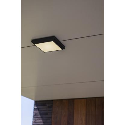 LUTEC HELENA firkantet udendørs LED væg/loftlampe, 22 x 22 cm, IP54, 4000K, mørk grå