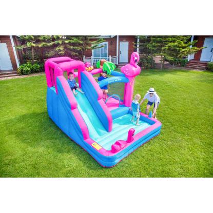 Doctor Dolphin Flamingo hoppeborg