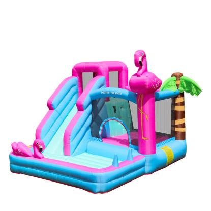 Doctor Dolphin Flamingo hoppeborg