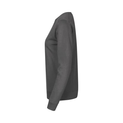 ID PRO Wear CARE 0381 sweatshirt, ubørstet, dame, silver grey