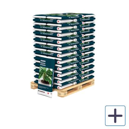 Pindstrup pottemuld