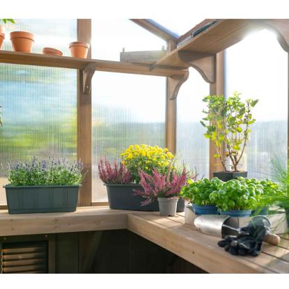 Westmann Paul drivhus, FSC-certificeret cedertræ, natur, 239 x 204 x 238 cm, 4,9 m²