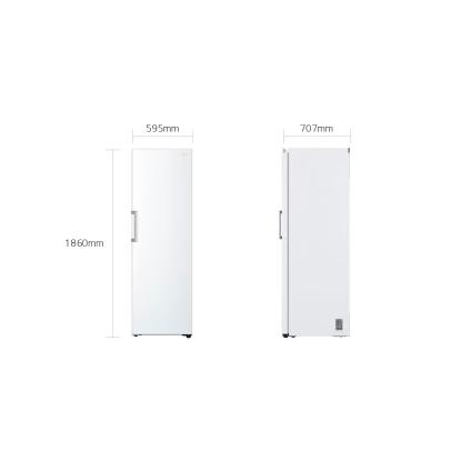 LG GLT51SWGSZ fritstående køleskab, 386 liter