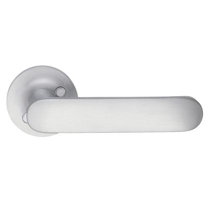 Beslagsboden dørgreb med roset, udendørs, 120 mm, børstet krom