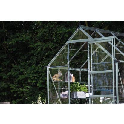 Halls Icon 6 drivhus 6,1 m², alu, 3 mm glas