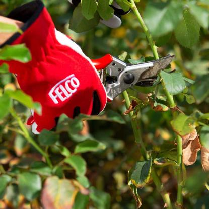 FELCO 100 rosen- og blomstersaks, højrehåndet - L