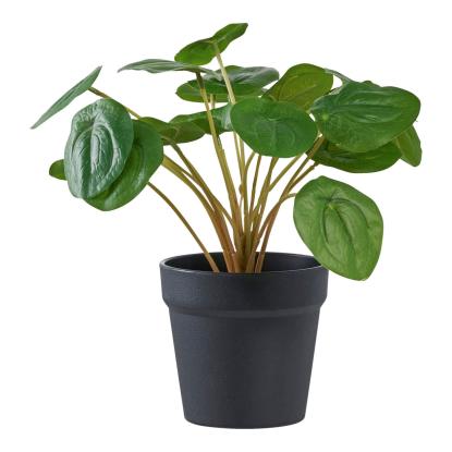Kunstig plante Pelia grøn 28 cm