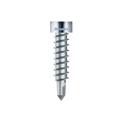 Eurotec Thermofix terrasseskrue, TX 20, 4,2 x 22 mm - 100 stk.