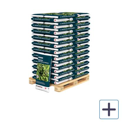 Pindstrup oliven-, palme- og citrusmuld på palle