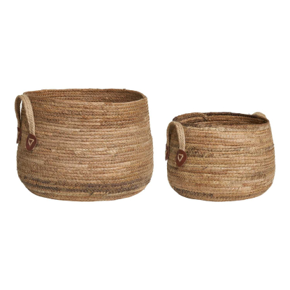 Aosta kurve, bananflet - 2 stk.