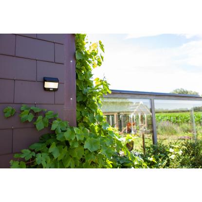 LUTEC TRY udendørs LED væglampe med solceller og sensor, H6,9 cm, IP54, sort