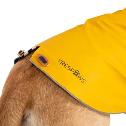 Trespaws SEADOG regnjakke til hunde, gul