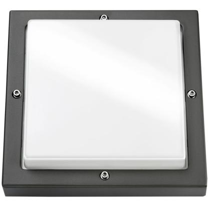 SG Armaturen Bassi LED væglampe, 3000K, IP65, grafitgrå