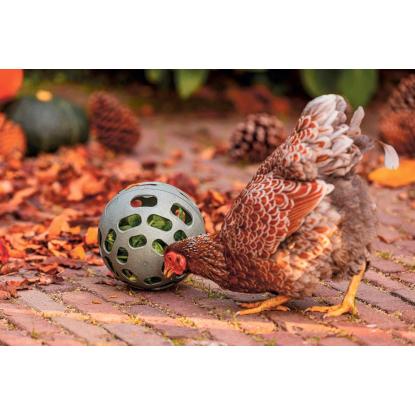 RYOM snackbold til høns, genbrugsplast