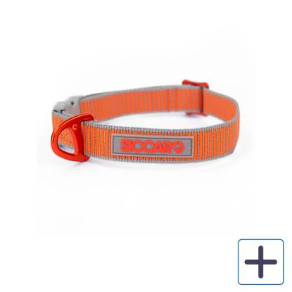 Siccaro SEALINES halsbånd, Silver/Orange