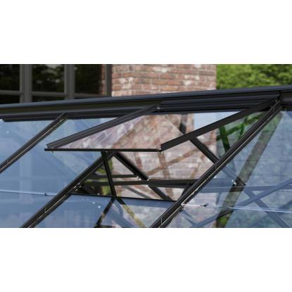 Vitavia tagvindue, sort