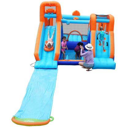 Doctor Dolphin Waterslide hoppeborg