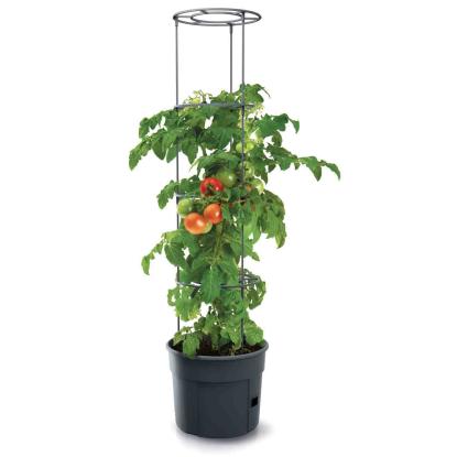 RYOM tomatpotte - 12 liter