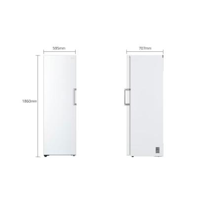 LG GFT41SWGSF fritstående fryseskab, 324 liter