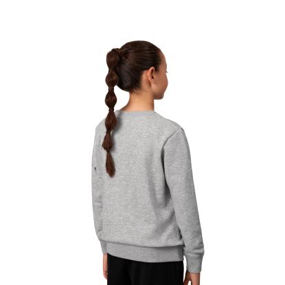 ID CORE 40634 sweatshirt, børn, grå melange