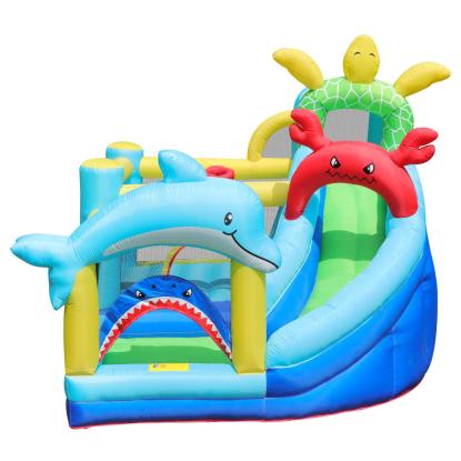 Doctor Dolphin Sea Animals hoppeborg