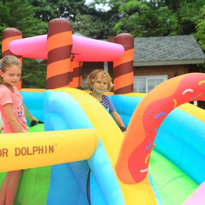 Doctor Dolphin Icecream hoppeborg
