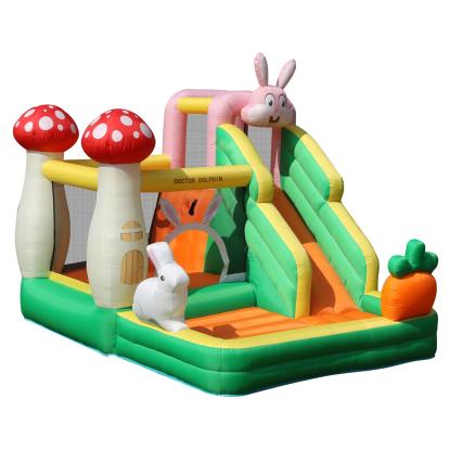 Doctor Dolphin Rabbit hoppeborg