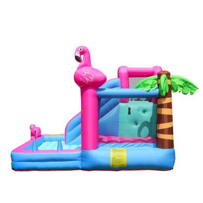 Doctor Dolphin Flamingo hoppeborg