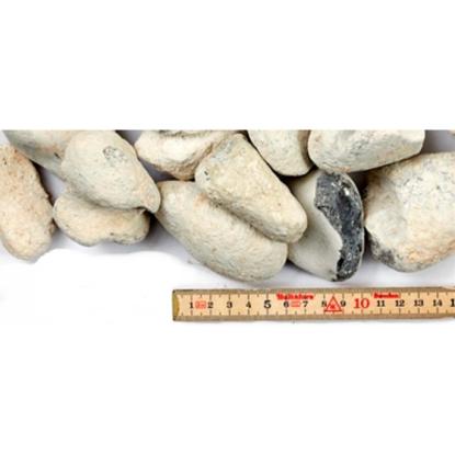 Pyntesten hvide singles, 30-70 mm - 1000 kg