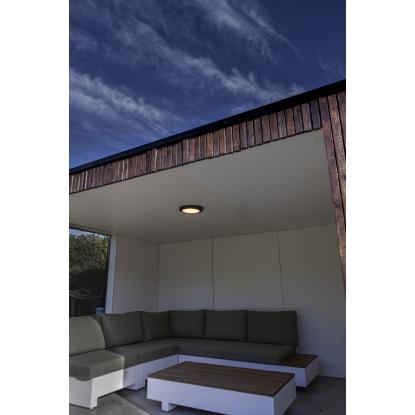 LUTEC KAYAH udendørs LED væglampe/loftlampe, Ø30,5 cm, IP54, mørk grå