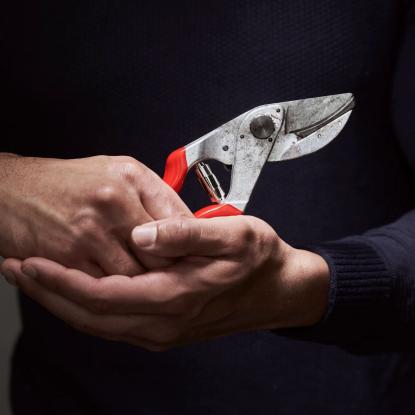 FELCO 32 buet beskæresaks - L