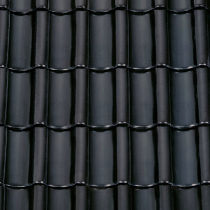 Safir H-10, Sort Ædelengoberet