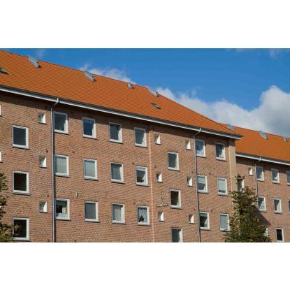 Monier B&C 30 Danflock Protector betontagsten, koralrød