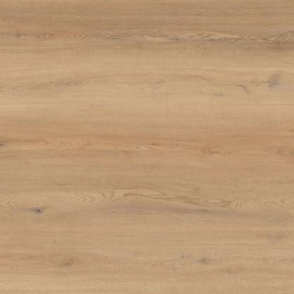 Moland Bastion Vinyl Wideplank vinylgulv, beige eg