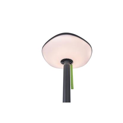 LUTEC POPPY LED gulvlampe med solceller og bluetooth, H190 cm, IP54, mørk grå